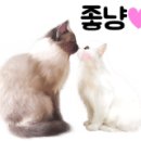 그레잇컴