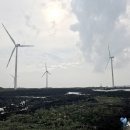 푸른신창 이미지