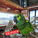 순창 앵무새팜 이미지