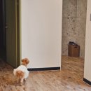 스테이 뭉구 이미지