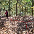 서부초등학교삼거리 이미지