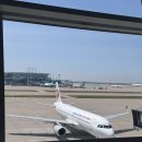 빙빙닷컴 | 2박3일 연태 여행 | 중국동방항공 탑승 후기 (체크인, 기내식, 연태공항 면세점)