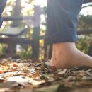 숲속쉼터옆 이미지