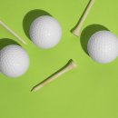 뱅뱅스크린골프 이미지