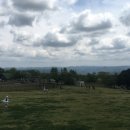 마더농장 이미지