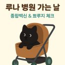 햇빛동물병원 이미지