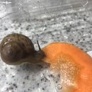 민규농장 이미지