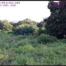 상신목장 이미지