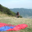 태완 카카오 검색결과