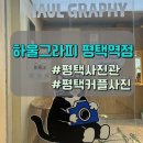 [평택_하울그라피]감성 셀프스튜디오 하울그라피평택점 셀프촬영 커플촬영 후기