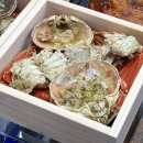 대포항 대게찜 | 강원도 속초 맛집 대포항 대게 맛집 게머꼬찜머꼬 솔직 후기