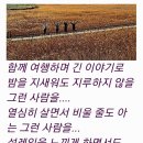 벌교 중도방죽에서 보낸편지 이미지