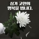 영훈고등학교 이미지