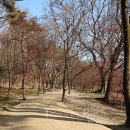 서오릉산책