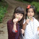 송화초등학교 이미지