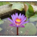 배다리박물관 이미지