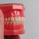 라온바른이치과의원 이미지