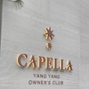 송전 펫 하우스 | [Capella Yangyang] 세계 3대 럭셔리 리조트 모델 하우스 방문 후기