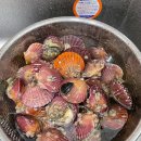 홍.낙.제 이미지