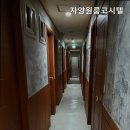 자양번영로 이미지