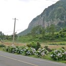 지에스(GS)25제주화순 이미지