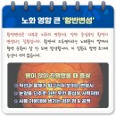 눈에 찾아오는 망막 질환 3가지 실명 막기 위해 기억해야 할 것 이미지