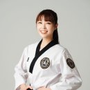 용인대학사태권도장 이미지