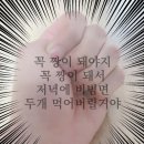 여리한다이어트