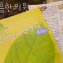 인상흠한의원 네이버블로그
