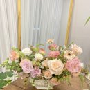 사파동320 이미지