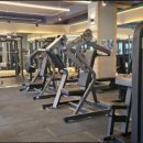 고릴라 GYM 백석대점 이미지