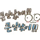 에코그린캠핑장 이미지