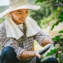 신선한농장 이미지