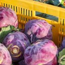 영순농장 이미지