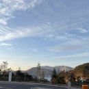 정봉남 | 남해 쏠비치 펫 프랜들리룸 솔직 후기 ♡｜반려견 동반 가능? 장단점 총정리