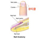 앤드네일 - 연수구 랜드마크로 20 | 앤드네일