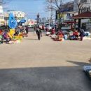 감포시장 이미지