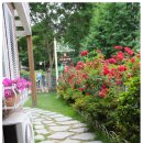 활짝핀유치원 이미지