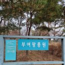 산성편의점 | 부여여행 | 부여왕릉원 , 부소산성, 롯데리조트 부여