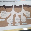 맑은가람학원