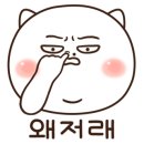 육쌤닷컴
