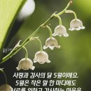 오월의숲 이미지