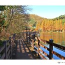 계룡 낚시터 이미지