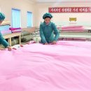 비단본가 이미지