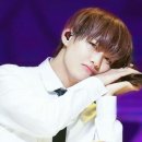 태형매점