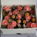 지구박스 이미지