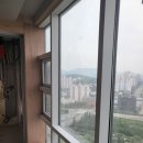 새얀 이미지