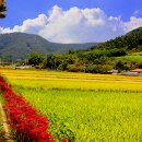 용천사입구 이미지