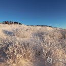 무주연합치과 이미지