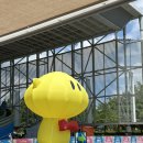 대흥운수 | 옅어지는 여름, 바쁘게! 신나게!